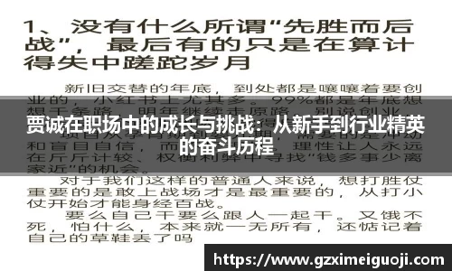 贾诚在职场中的成长与挑战：从新手到行业精英的奋斗历程